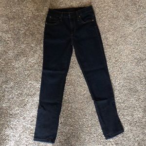 James Jeans Dark Wash Skinny Jeans